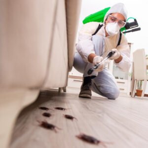 Quarterly Pest Protection Plan